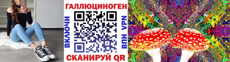 Псилоцибиновые грибы Cubensis  Гусь-Хрустальный 