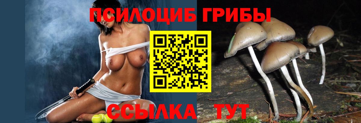 Псилоцибиновые грибы мухоморы  Вход с VPN  Гусь-Хрустальный  Псилоцибиновые грибы Magic Shrooms 